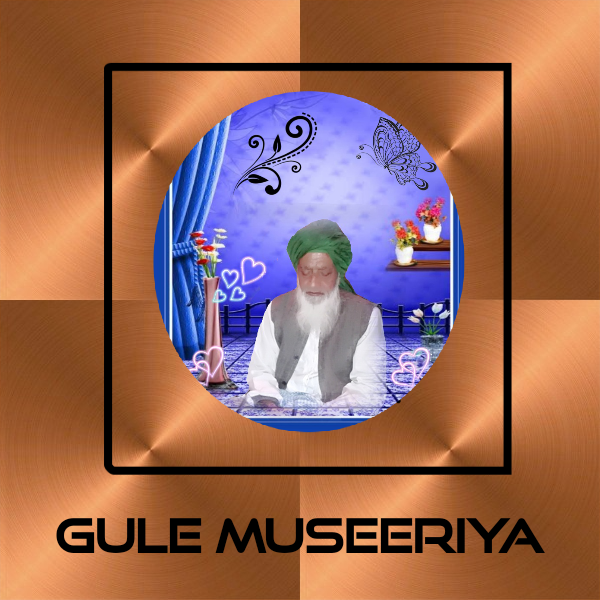 gulemuseeriya.com